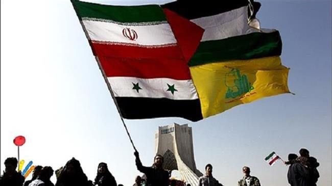 bandera-miembros-eje-resistencia