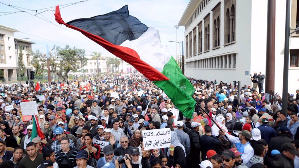manifestacion-apoyo-palestina