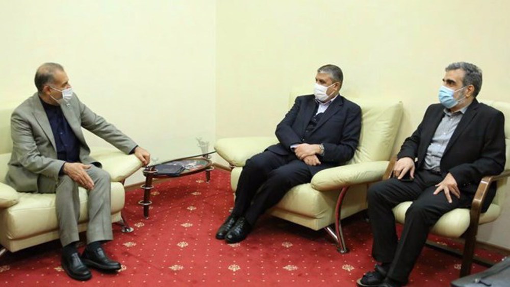 Delegación nuclear iraní