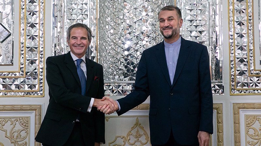 Rafael Grossi y Hossein Amir-Abdollahian