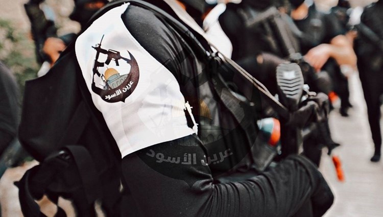 Combatientes de la Guarida de los Leones