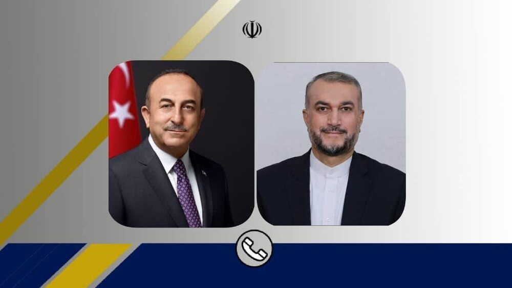 abdollahian mevlut cavusoglu