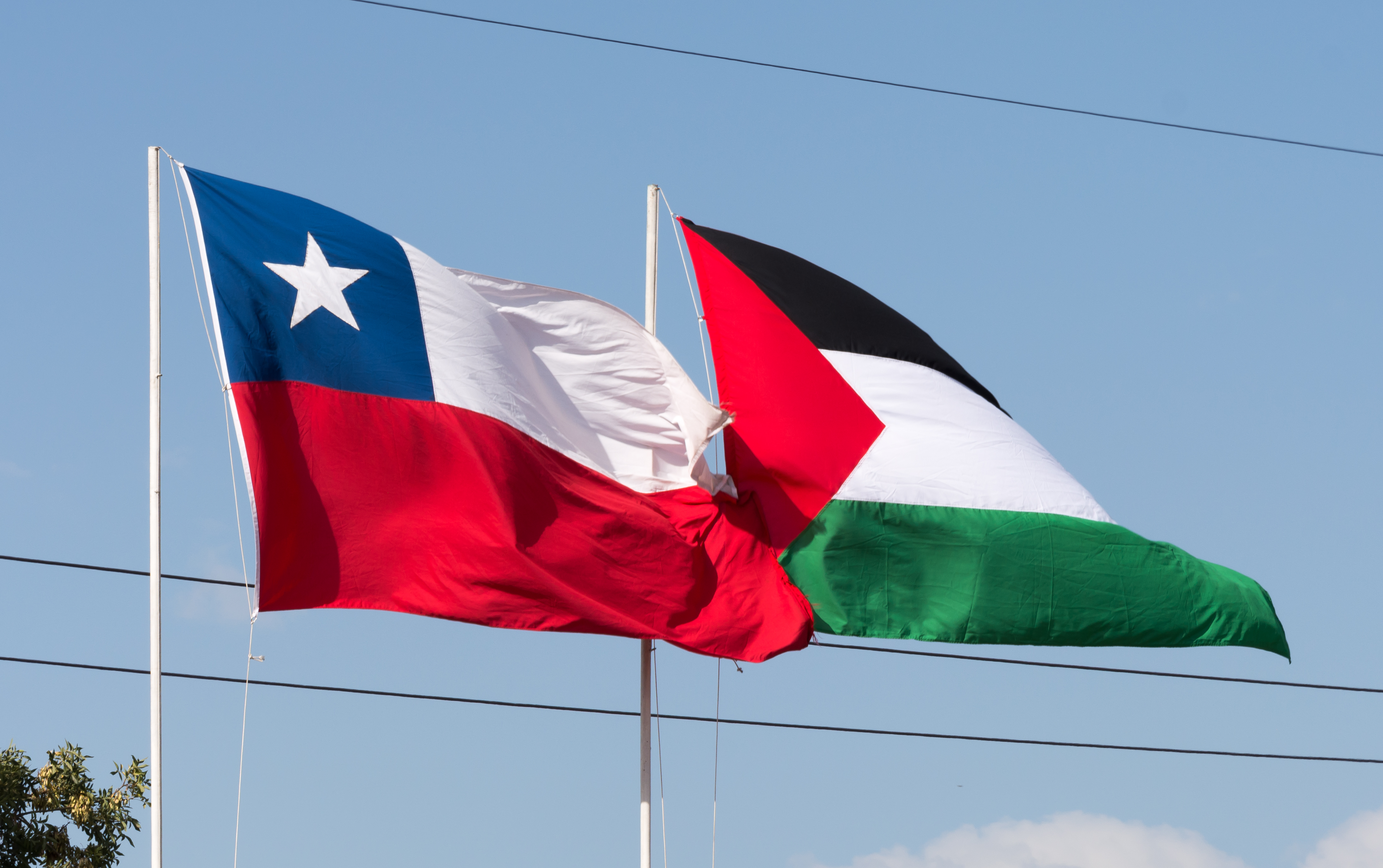 chile-palestina