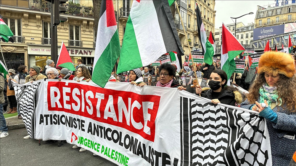 manifestacion-paris-palestina-4