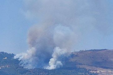 photo_5976817545438675768_x