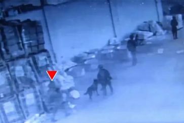 soldados-israelies-antes-de-ser-emboscados