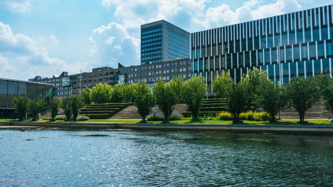 universidad-erasmus-rotterdam