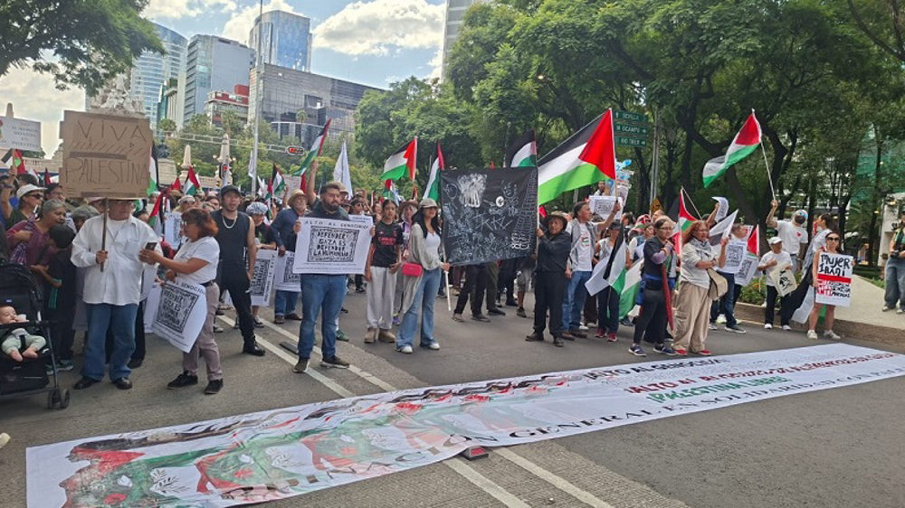 manifestacion-mexico-por-palestina