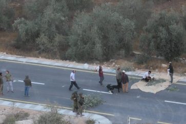 ataques-colonos-cisjordania